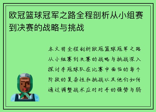 欧冠篮球冠军之路全程剖析从小组赛到决赛的战略与挑战