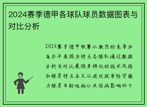 2024赛季德甲各球队球员数据图表与对比分析